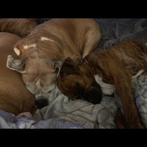 Meet your Posher, Margie